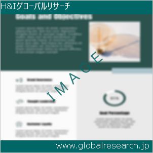 グローバルリサーチ調査レポートのイメージ